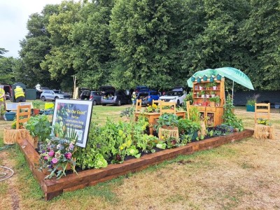 RHS Hampton Court - side photo of garden.jpeg